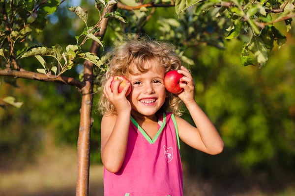 Sevimli kıvırcık kız bahçede olgun elma toplama