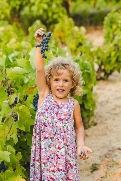 Üzüm üzüm bağıyla gösterilen sevimli kıvırcık kız
