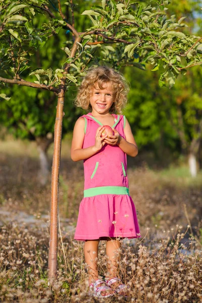 庭で熟したリンゴを収集かわいい巻き毛の少女 — ストック写真