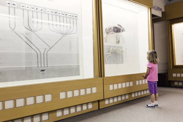 Küçük kız exponates seyir Müzesi'nde