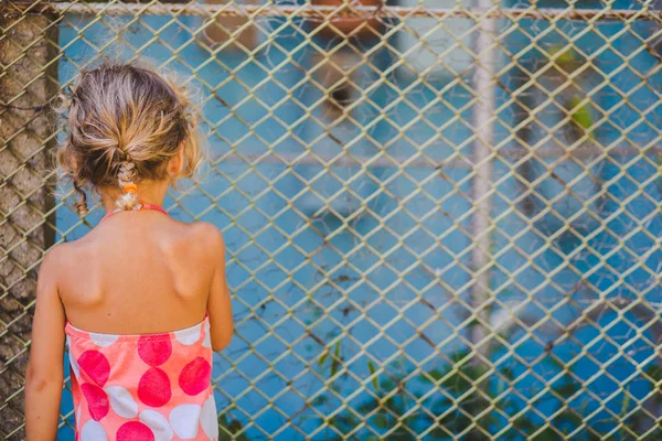 Rear View Cute Curly Girl Standing Cage — Stock Photo, Image