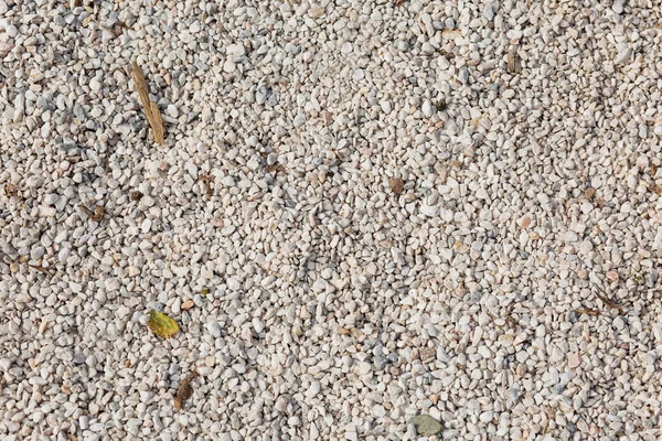 Beyaz çakıl yüzeyi, Plaj arka plan.