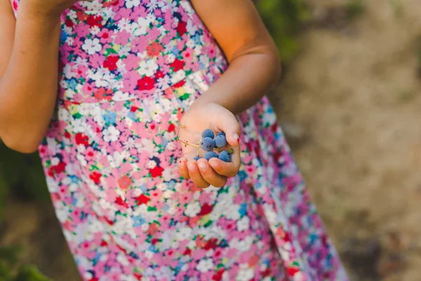 Petite Fille Tenant Dans Main Des Raisins — Photo