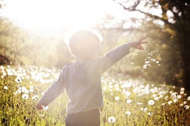 Sevimli kız yürümeye başlayan çocuk bahçesinde bulunan kurutulmuş dandelions yürüyüş