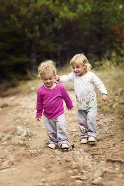 Deux Sœurs Tout Petits Marchant Ensemble Dans Parc — Photo