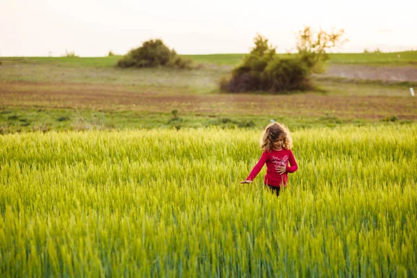küçük kız alanında oynuyor