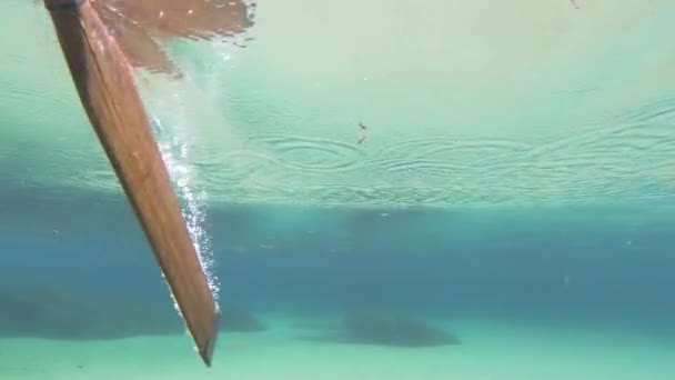 Prise de vue sous-marine de rames de bateau pagayant dans les eaux claires et bleues de la rivière Drim Springs près d'Ohrid, en Macédoine. Écosystème, nature préservée. Fond de rivière avec des plantes et d'autres flore sous-marine .