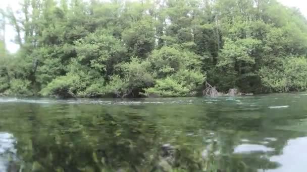 Bateau d'aviron avec rame sur la surface de l'eau de la rivière Pagayer dans les sources de la rivière Drim près d'Ohrid, Macédoine. Vert luxuriant sur la rive de la rivière .