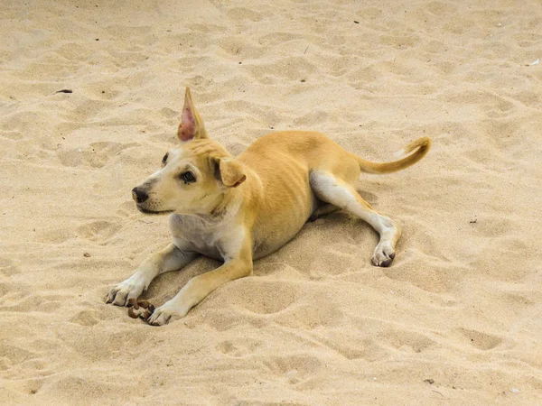 plaj ve deniz arasında