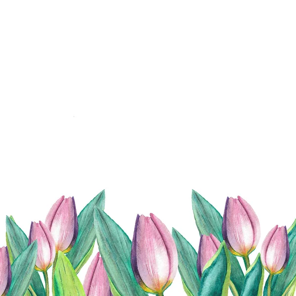 Aquarel Tulpen Met Groene Bladeren — Stockfoto