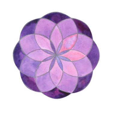 Hayatın suluboya çiçeği, pembe ve mor spektrumlu kutsal geometri. Resimler beyaz arkaplanda izole edildi
