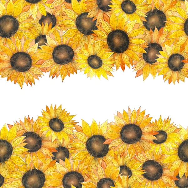 Acuarelă Frontieră Fără Sudură Cap Floarea Soarelui Ilustrație Vară Imagine de stoc