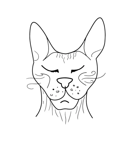 Doodle Sphynx Cat Divertido Lindo Ilustración Dibujada Mano Para Cartel — Foto de Stock