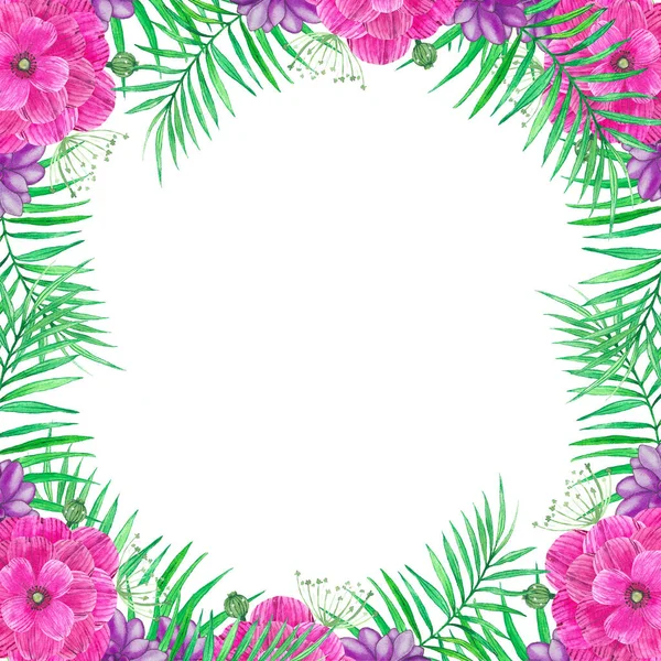Acuarelă Cadru Floral Vară Suculente Flori Frunze Ramuri Cadru Delicat — Fotografie, imagine de stoc