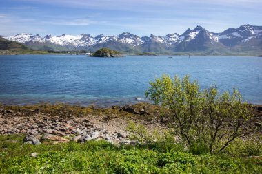 güzel yaz sayısı Lofoten Adaları