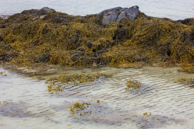 Fredvang ıssız beach