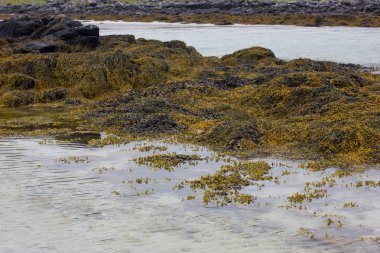 Fredvang ıssız beach