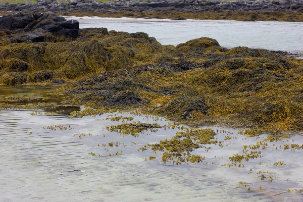 Fredvang ıssız beach