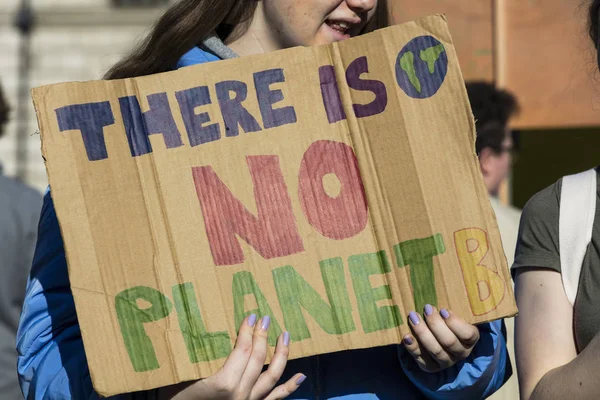 Londyn Wielka Brytania Lutego 2019 Protestujący Strajku Młodzieży Dla Klimatu — Zdjęcie stockowe