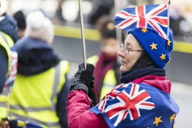 Londra, İngiltere - 13 Mart 2019: Anti brexit destekçileri Westminster protesto