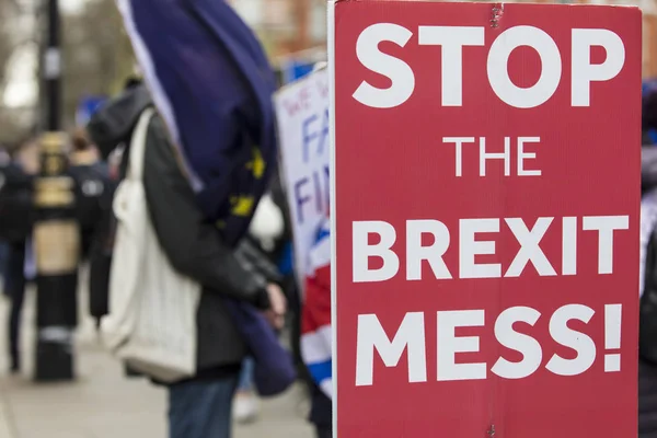Bannières anti-Brexit à Westminster — Photo