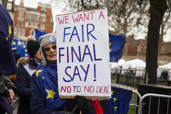 LONDON, UK - March 13, 2019: Anti brexit supporters protesting in Westminster — Stock Photo, Image