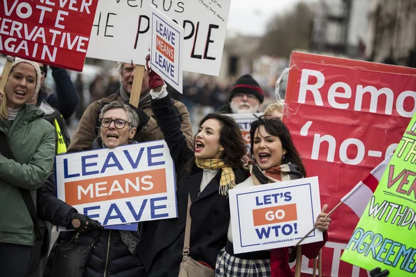 Лондон, Великобританія - 13 березня 2019: Brexit прихильників агітації залишити ЄС — стокове фото