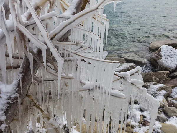 Ramos de uma árvore coberta de gelo grosso no meio de um inverno frio congelante — Fotografia de Stock