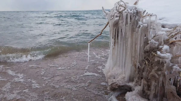 Äste eines Baumes mit dickem Eis inmitten eines eiskalten Winters — Stockfoto