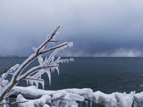 Äste eines Baumes mit dickem Eis inmitten eines eiskalten Winters — Stockfoto