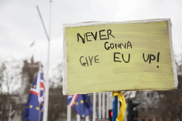 Anty-Brexit suporters w Londynie kampanii w Unii Europejskiej. — Zdjęcie stockowe