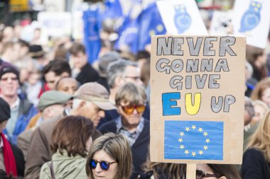 Londra, İngiltere - Mart 23 2019: Anti Brexit destekçileri halklar oylamaya siyasi tarihinde Londra'da Mart