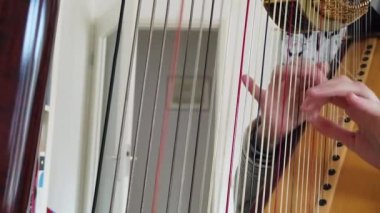 Ağır çekim yakın çekim ARP oynarken elinde