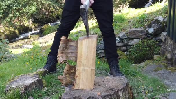 Zeitlupe eines Holzfällers, der mit einer Axt Holz hackt — Stockvideo