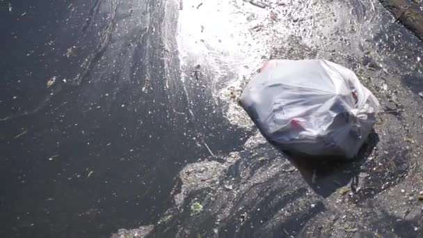 London, Großbritannien - 15. April 2019: Plastikmüll verschmutzt die Natur. Müllsack treibt auf dem Wasser — Stockvideo