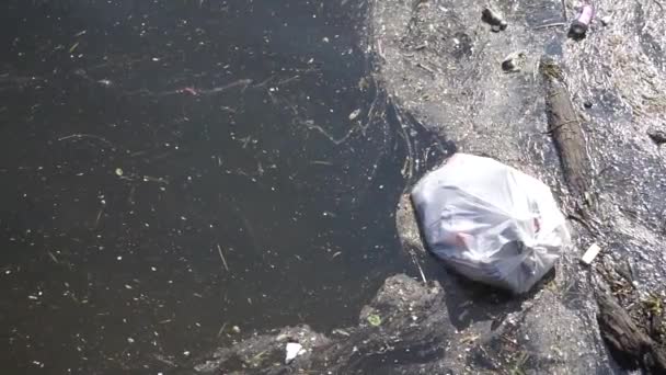 LONDRA, Regno Unito - 15 aprile 2019: Rifiuti di plastica che inquinano la natura. sacco della spazzatura galleggiante sull'acqua — Video Stock
