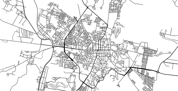 墨西哥圣米格尔城市矢量城市地图 — 图库矢量图片