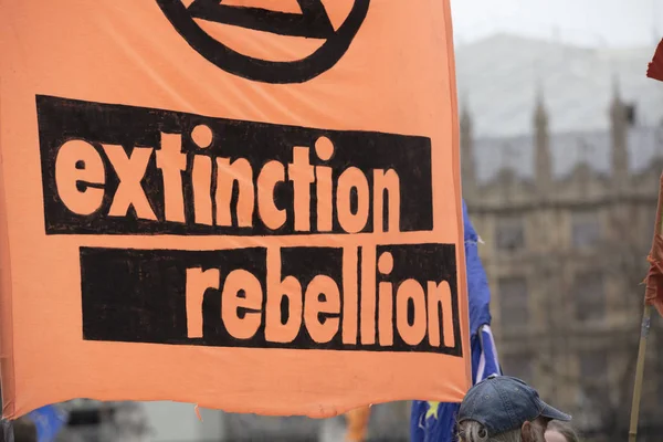 Londra, İngiltere - 23 Nisan 2019: Londra'da düzenlenen protestoda Extinction İsyanı bayraklarıyla protestocular — Stok fotoğraf