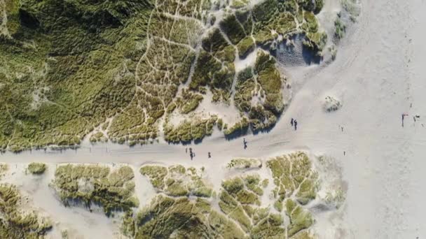 Vista aérea mientras la gente camina a través de dunas de arena en la playa de Harlech, en el norte de Gales — Vídeo de stock