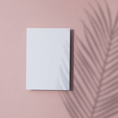 Beyaz kart çerçevesi üzerinde tropikal palmiye yaprağı gölgesi. Egzotik yaz arka plan.