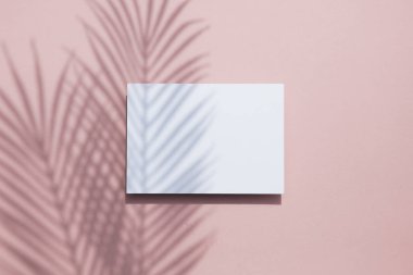 Beyaz kart çerçevesi üzerinde tropikal palmiye yaprağı gölgesi. Egzotik yaz arka plan.