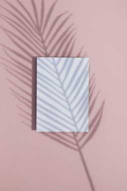 Beyaz kart çerçevesi üzerinde tropikal palmiye yaprağı gölgesi. Egzotik yaz arka plan.