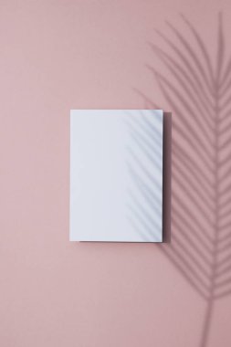 Beyaz kart çerçevesi üzerinde tropikal palmiye yaprağı gölgesi. Egzotik yaz arka plan.