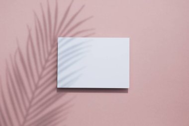 Beyaz kart çerçevesi üzerinde tropikal palmiye yaprağı gölgesi. Egzotik yaz arka plan.