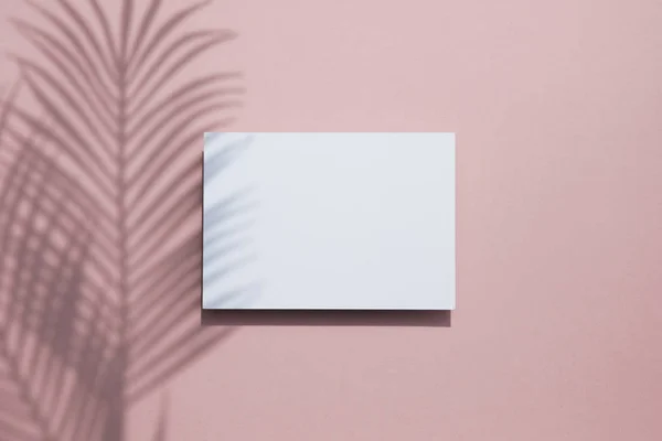 Tropical palm leaf shadow on a white card frame. Exotic summer background. — Stock Photo, Image