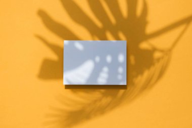 Beyaz bir kart çerçeve üzerinde Tropikal monstera palmiye yaprağı gölge. Turuncu yaz afişi.