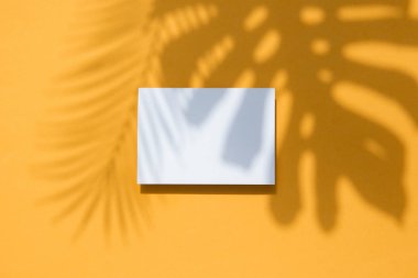 Beyaz bir kart çerçeve üzerinde Tropikal monstera palmiye yaprağı gölge. Turuncu yaz afişi.