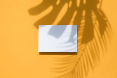 Beyaz bir kart çerçeve üzerinde Tropikal monstera palmiye yaprağı gölge. Turuncu yaz afişi.