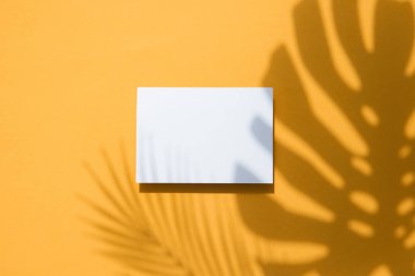 Beyaz bir kart çerçeve üzerinde Tropikal monstera palmiye yaprağı gölge. Turuncu yaz afişi.