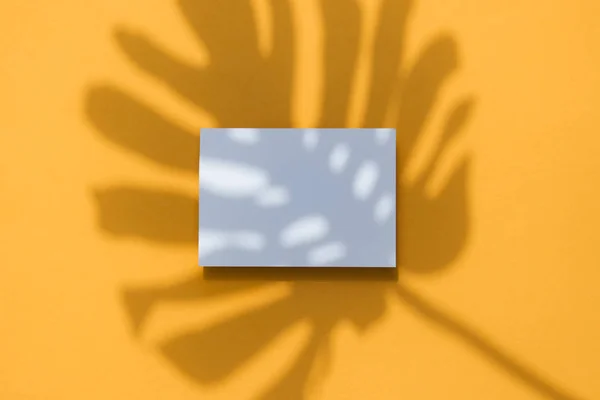 Tropikalny Monstera cień liści palmowych na białej ramce karty. Plakat z pomarańczowym letnim. — Zdjęcie stockowe